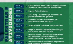 1o-NETWORK-GERGELIM-BRASIL-PROGRAMACAO-VESPERTINA
