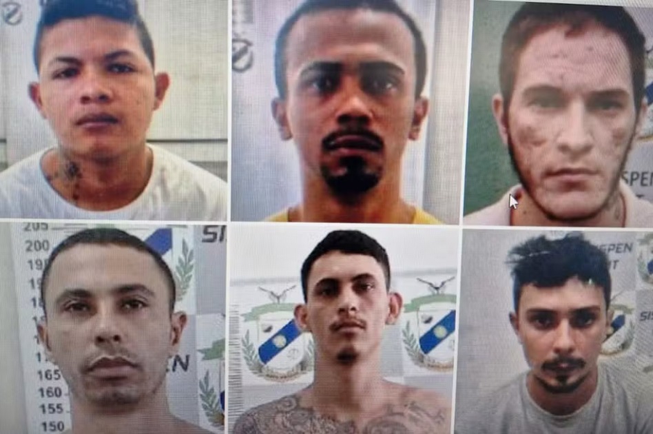 Gerenciador de Notícias