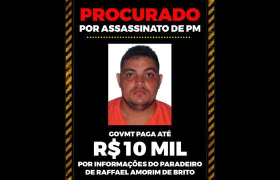 Gerenciador de Notícias