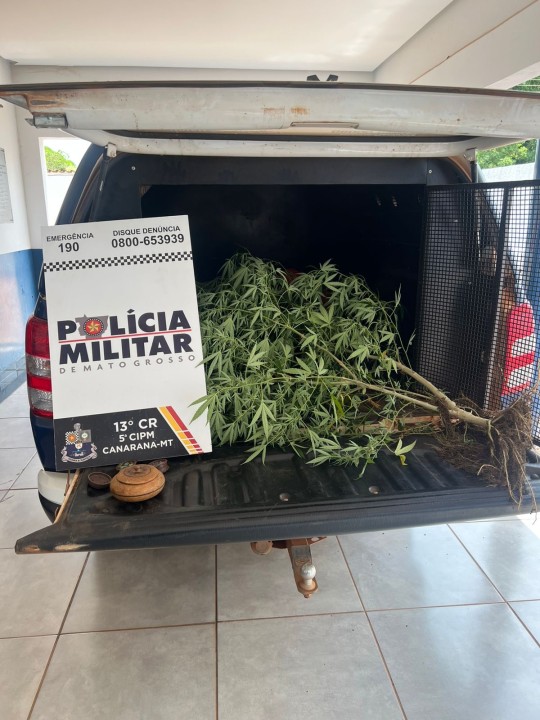 Gerenciador de Notícias