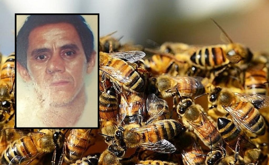 Gerenciador de Notícias