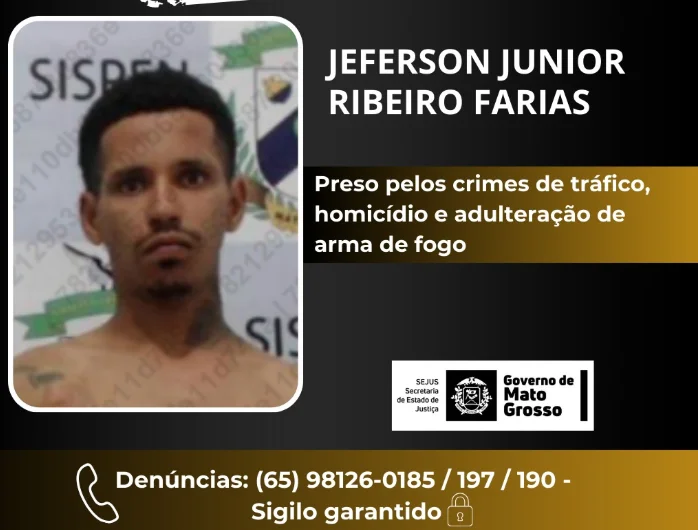 Gerenciador de Notícias
